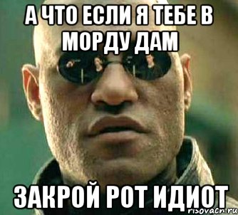 а что если я тебе в морду дам закрой рот идиот, Мем  а что если я скажу тебе