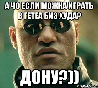 А ЧО ЕСЛИ МОЖНА ИГРАТЬ В ГЕТЕА БИЗ ХУДА? ДОНУ?)), Мем  а что если я скажу тебе