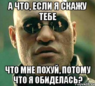 А что, если я скажу тебе Что мне похуй, потому что я обиделась?, Мем  а что если я скажу тебе