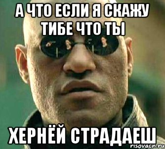 а что если я скажу тибе что ты ХЕРНЁЙ СТРАДАЕШ, Мем  а что если я скажу тебе