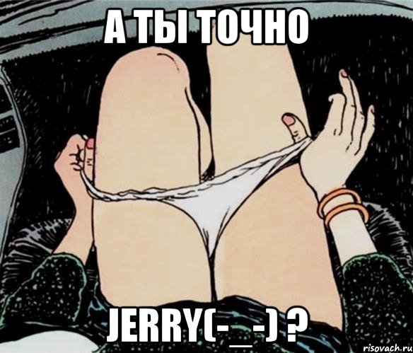 А ты точно JeRRy(-_-) ?, Мем А ты точно