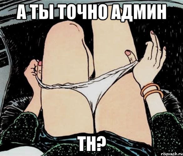 А ты точно админ ТН?, Мем А ты точно