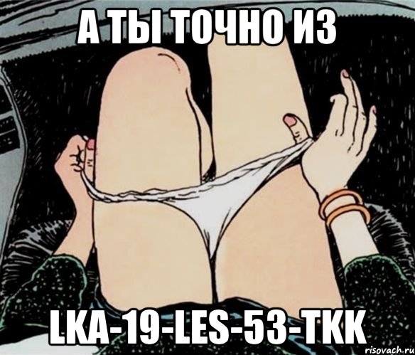 А ты точно из LKA-19-LES-53-TKK, Мем А ты точно