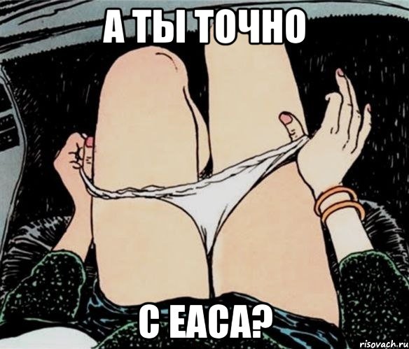 А ты точно с ЕАСа?, Мем А ты точно