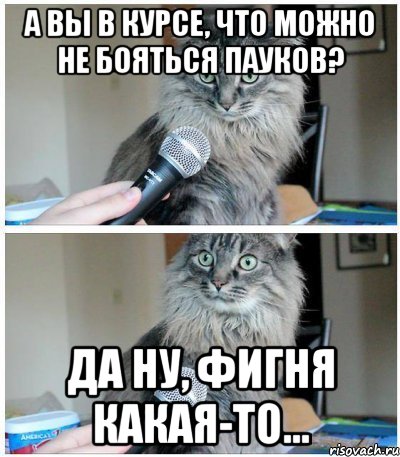 А вы в курсе, что можно не бояться пауков? да ну, фигня какая-то..., Комикс  кот с микрофоном