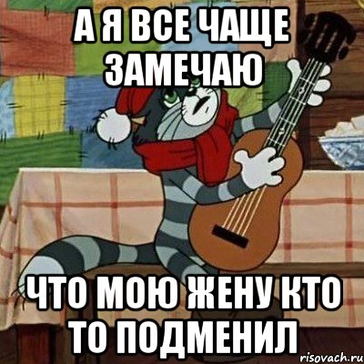 а я все чаще замечаю что мою жену кто то подменил, Мем Кот Матроскин с гитарой