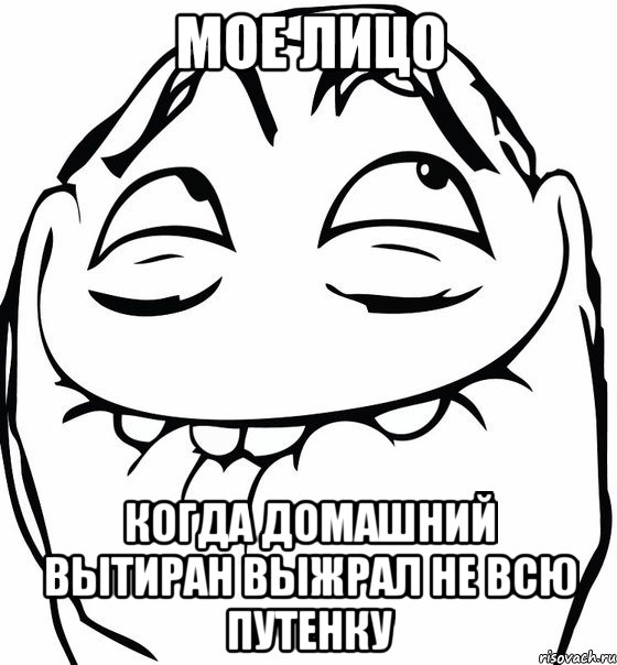 мое лицо когда домашний вытиран выжрал не всю путенку, Мем  аааа