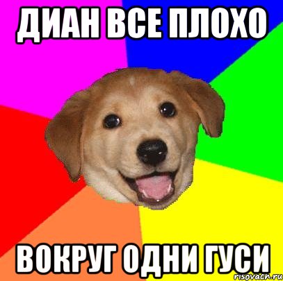 Диан все плохо Вокруг одни гуси, Мем Advice Dog