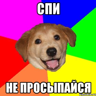 Спи Не просыпайся, Мем Advice Dog