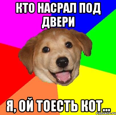 Кто насрал под двери Я, ой тоесть кот..., Мем Advice Dog