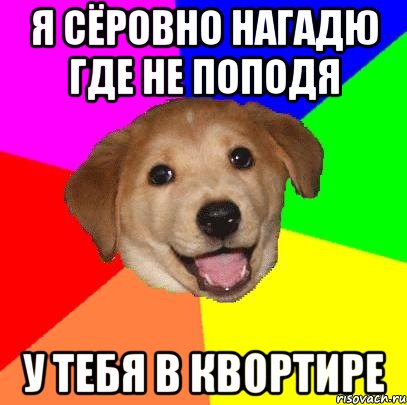 я сёровно нагадю где не поподя у тебя в квортире, Мем Advice Dog