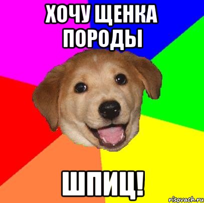 хочу щенка породы шпиц!, Мем Advice Dog