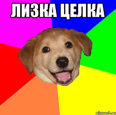 лизка целка , Мем Advice Dog