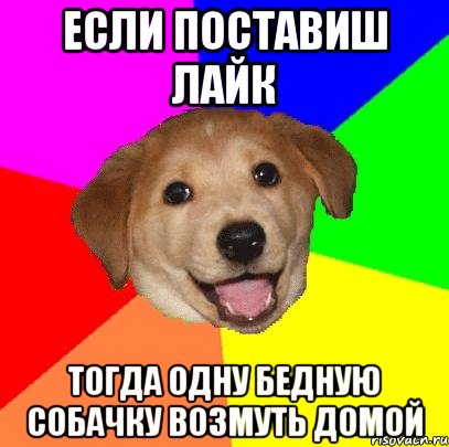 Если поставиш лайк Тогда одну бедную собачку возмуть домой, Мем Advice Dog