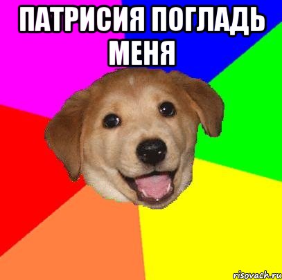 Патрисия погладь меня , Мем Advice Dog