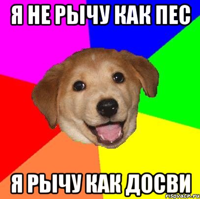 я не рычу как пес я рычу как досви, Мем Advice Dog