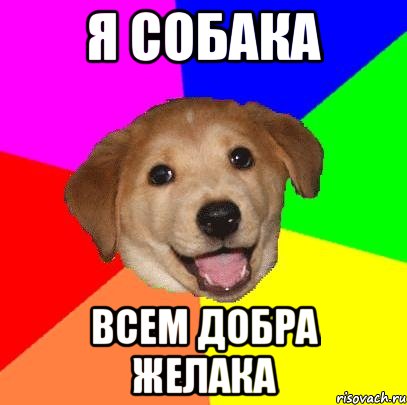 Я собака Всем добра желака, Мем Advice Dog