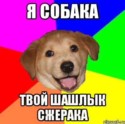 Я собака Твой шашлык сжерака, Мем Advice Dog