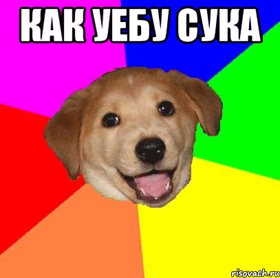 КАК УЕБУ СУКА , Мем Advice Dog