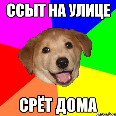 Ссыт на улице Срёт дома, Мем Advice Dog