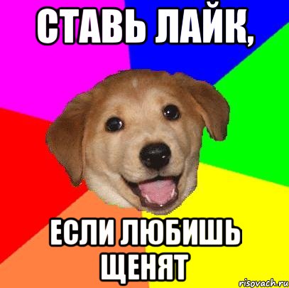 ставь лайк, если любишь щенят, Мем Advice Dog