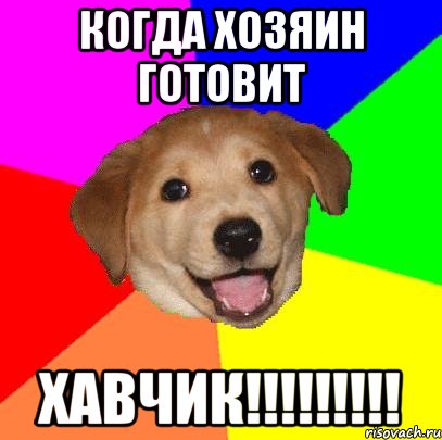 когда хозяин готовит хавчик!!!!!!!!!, Мем Advice Dog