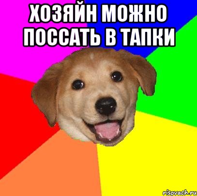 хозяйн можно поссать в тапки , Мем Advice Dog