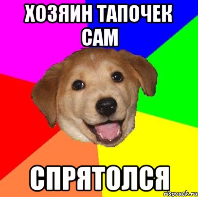 Хозяин тапочек сам Спрятолся, Мем Advice Dog