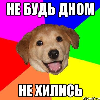 НЕ БУДЬ ДНОМ НЕ ХИЛИСЬ, Мем Advice Dog