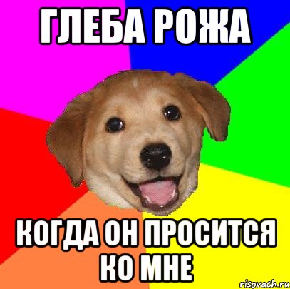 глеба рожа когда он просится ко мне, Мем Advice Dog