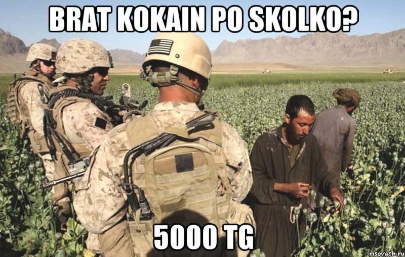 brat kokain po skolko? 5000 tg