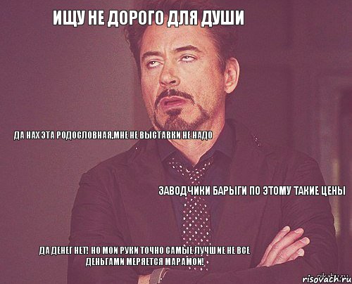 Ищу не дорого для души  да нах эта родословная,мне не выставки не надо заводчики барыги по этому такие цены Да денег нет! Но мои руки точно самые лучшие Не все деньгами меряется марамои!, Комикс мое лицо