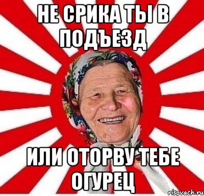 Не срика ты в подъезд Или оторву тебе огурец, Мем  бабуля