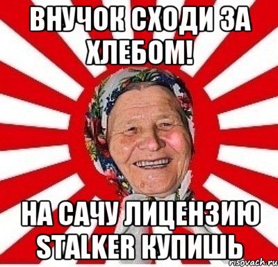 Внучок сходи за хлебом! На сачу лицензию STALKER купишь, Мем  бабуля