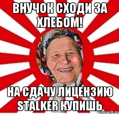 Внучок сходи за хлебом! На сдачу лицензию STALKER купишь, Мем  бабуля