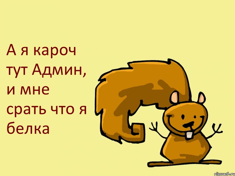 А я кароч тут Админ, и мне срать что я белка, Комикс  белка