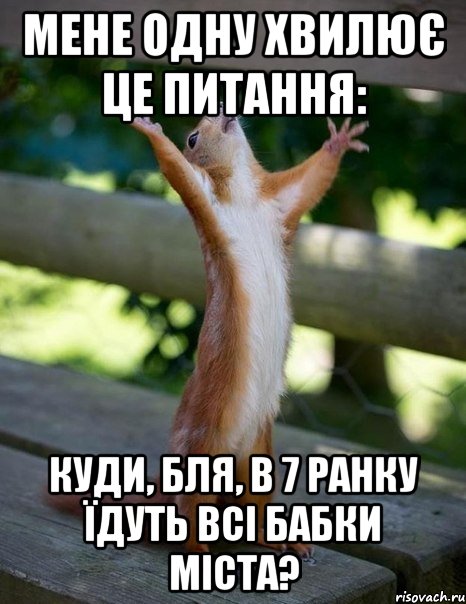 Мене одну хвилює це питання: Куди, бля, в 7 ранку їдуть всі бабки міста?, Мем    белка молится