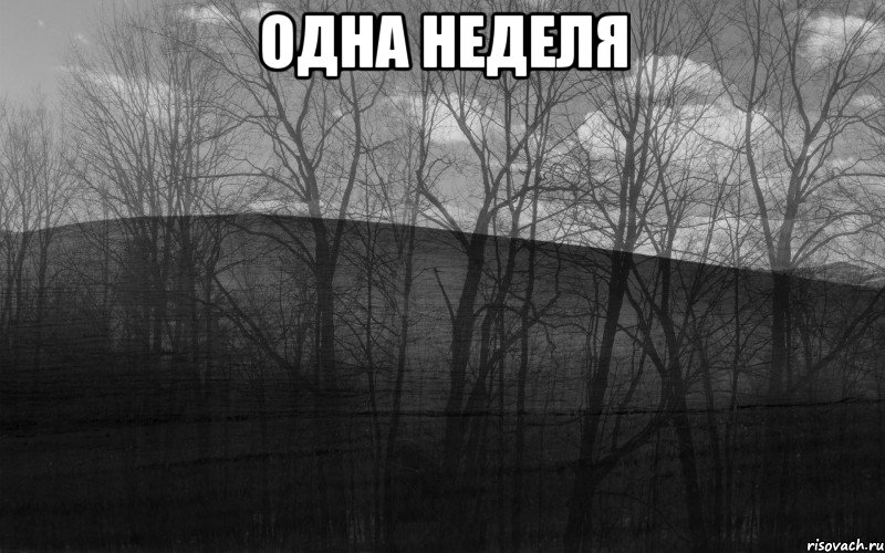 Одна неделя , Мем безысходность лес