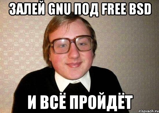 Залей GNU под Free BSD и всё пройдёт, Мем Ботан