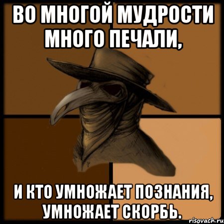 Во многой мудрости много печали, и кто умножает познания, умножает скорбь., Мем  Чума