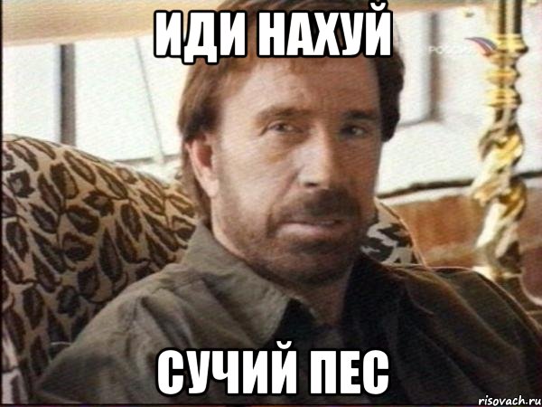 иди нахуй сучий пес, Мем чак норрис