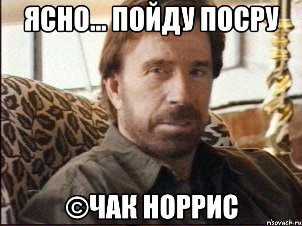 ясно... пойду посру ©Чак Норрис, Мем чак норрис