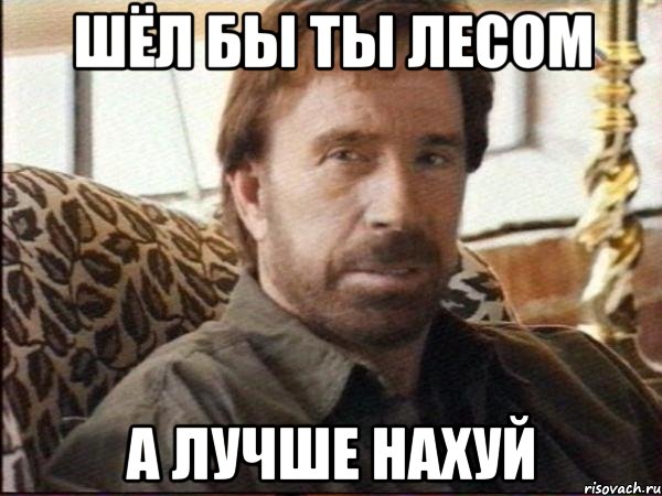 ШЁЛ БЫ ТЫ ЛЕСОМ А ЛУЧШЕ НАХУЙ, Мем чак норрис