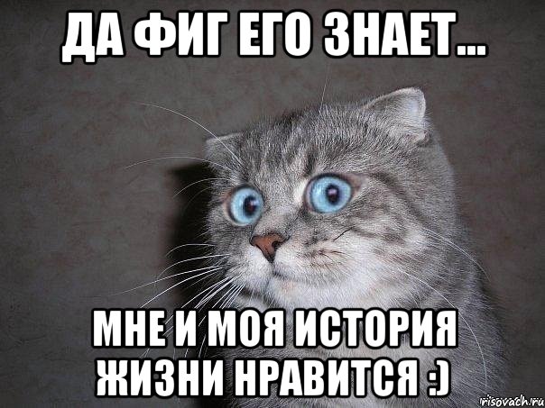 да фиг его знает... мне и моя история жизни нравится :), Мем  удивлённый кот