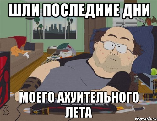 ШЛИ ПОСЛЕДНИЕ ДНИ МОЕГО АХУИТЕЛЬНОГО ЛЕТА, Мем   Задрот south park