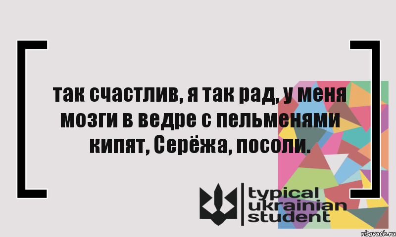 так счастлив, я так рад, у меня мозги в ведре с пельменями кипят, Серёжа, посоли., Комикс цитата