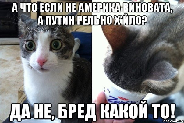 А что если не америка виновата, а Путин рельно х*йло? Да не, бред какой то!, Комикс  Да не бред-какой-то (2 зоны)