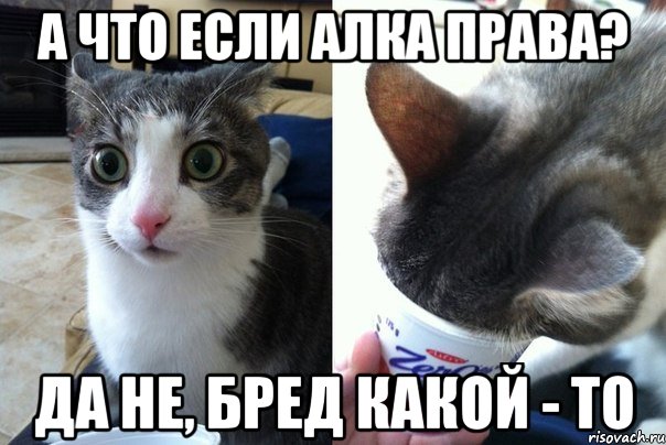 А что если Алка права? Да не, бред какой - то, Комикс  Да не бред-какой-то (2 зоны)