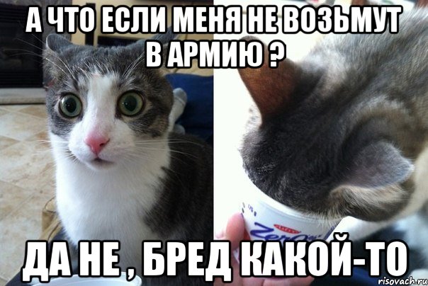 А что если меня не возьмут в армию ? да не , бред какой-то, Комикс  Да не бред-какой-то (2 зоны)