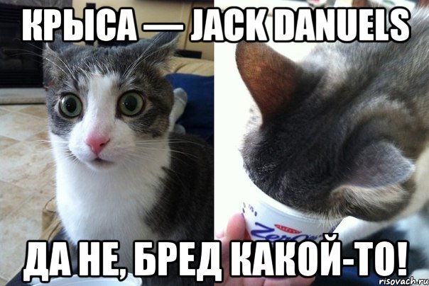 Крыса — Jack Danuels Да не, бред какой-то!, Комикс  Да не бред-какой-то (2 зоны)